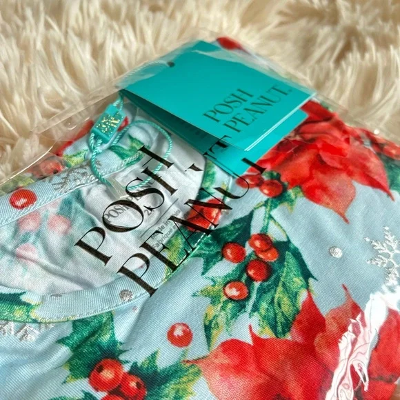 Posh Peanut Winter Lily Twirl Dress 2T NWT